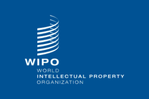 [PRILOŽNOST]: Poletna šola WIPO o intelektualni lastnini v Rijeki, Hrvaška
